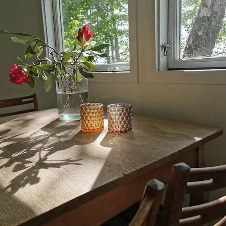 Prázdninový dům The *