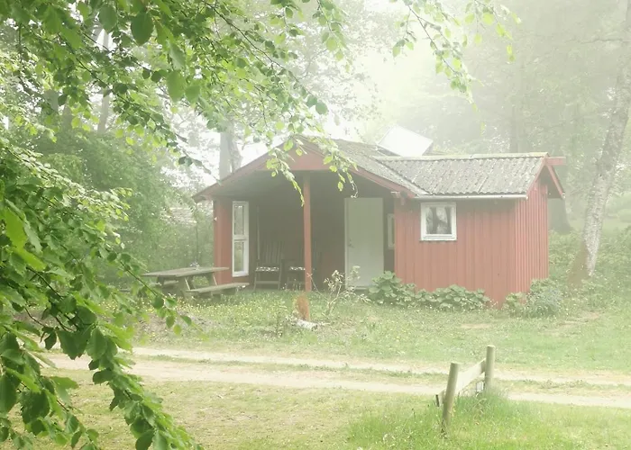 The Holiday home